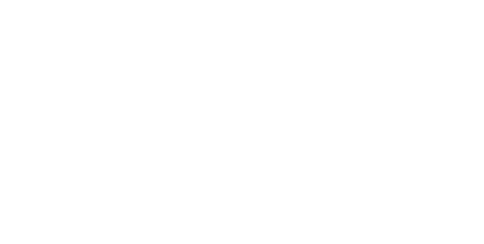 Lions Reform